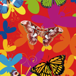 649 Toalla Butterfly Red