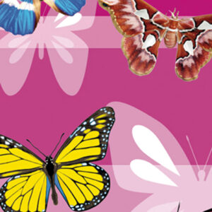 652 Toalla Pop Mariposas