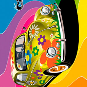 811 Toalla Beetle