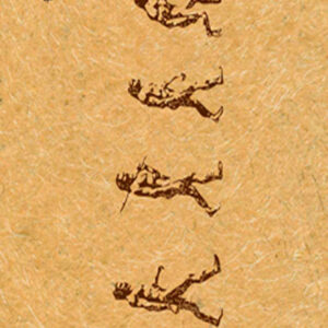 903 Toalla Human Involution