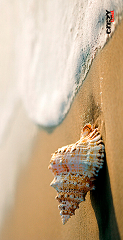 925 Toalla Playa Caracola