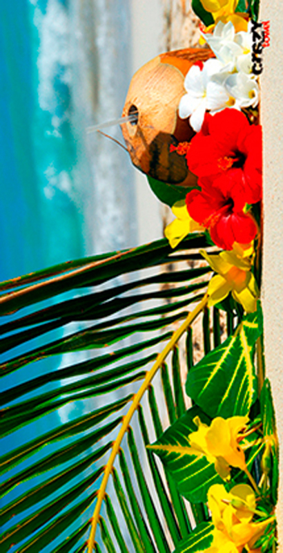 926 Toalla Caribe Beach