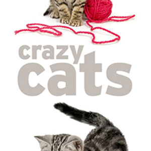 928 Toalla Crazy Cats