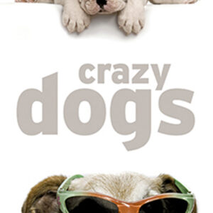 929 Toalla Crazy Dogs