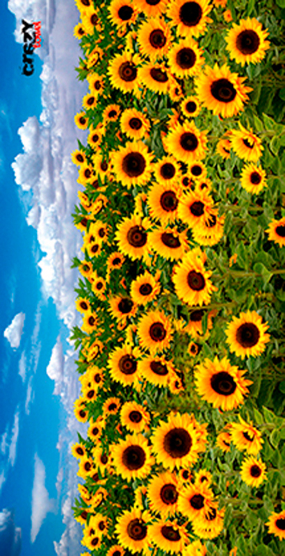 933 Toalla Los Girasoles